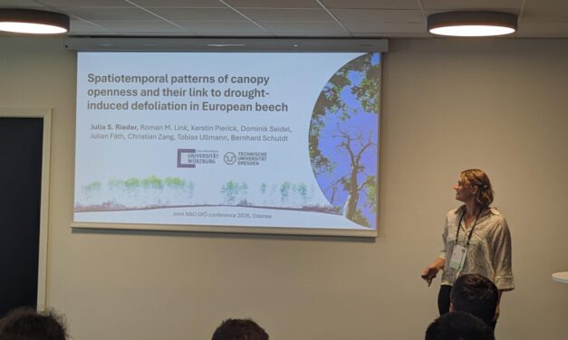 Julia Rieder presents on relationship between beech canopy gap dynamics and defoliation at NSO-GfÖ 2026