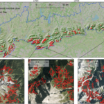 New publication on mapping mountain pine dynamics and upslope shifts in the German Alps