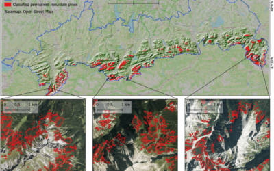 New publication on mapping mountain pine dynamics and upslope shifts in the German Alps