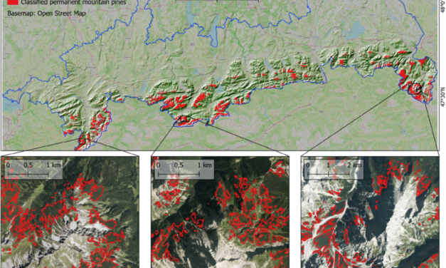 New publication on mapping mountain pine dynamics and upslope shifts in the German Alps