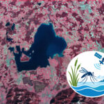 AQUAMOS: New Project on Mosquito Breeding Habitats and Early-Warning Systems