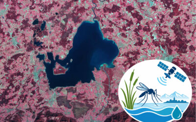 AQUAMOS: New Project on Mosquito Breeding Habitats and Early-Warning Systems