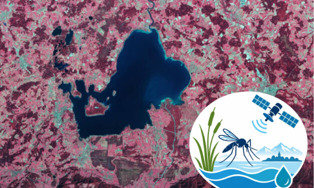AQUAMOS: New Project on Mosquito Breeding Habitats and Early-Warning Systems