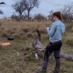 EAGLE student Jolien Grafe spent her internship in Kruger National Park