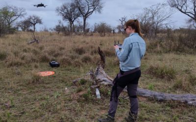 EAGLE student Jolien Grafe spent her internship in Kruger National Park