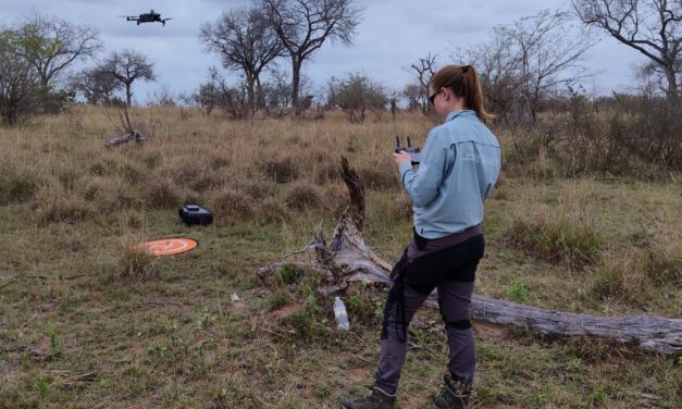 EAGLE student Jolien Grafe spent her internship in Kruger National Park